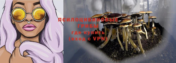 гидра Алексеевка